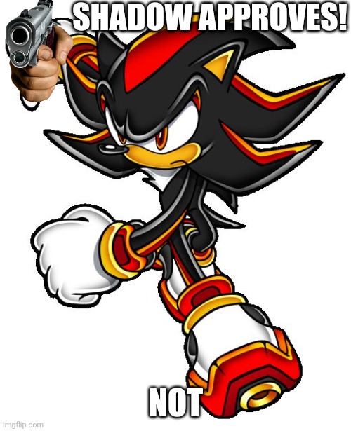 Shadow the hedgehog | SHADOW APPROVES! NOT | image tagged in shadow the hedgehog | made w/ Imgflip meme maker