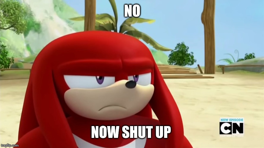 Knuckles is not Impressed - Sonic Boom | NO NOW SHUT UP | image tagged in knuckles is not impressed - sonic boom | made w/ Imgflip meme maker