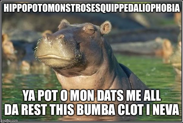 Day neva | HIPPOPOTOMONSTROSESQUIPPEDALIOPHOBIA; YA POT O MON DATS ME ALL DA REST THIS BUMBA CLOT I NEVA | image tagged in skeptical hippo | made w/ Imgflip meme maker