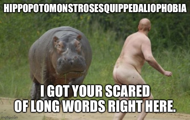 Phobia my Ass | HIPPOPOTOMONSTROSESQUIPPEDALIOPHOBIA; I GOT YOUR SCARED OF LONG WORDS RIGHT HERE. | image tagged in naked hippo | made w/ Imgflip meme maker