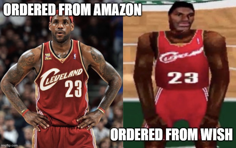 Online Orders | ORDERED FROM AMAZON; ORDERED FROM WISH | image tagged in lebron videogame | made w/ Imgflip meme maker