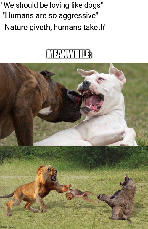 Reality of Nature | "We should be loving like dogs"; "Humans are so aggressive"; "Nature giveth, humans taketh"; MEANWHILE: | image tagged in mother nature,dog,fight,lion,love wins,true story | made w/ Imgflip meme maker
