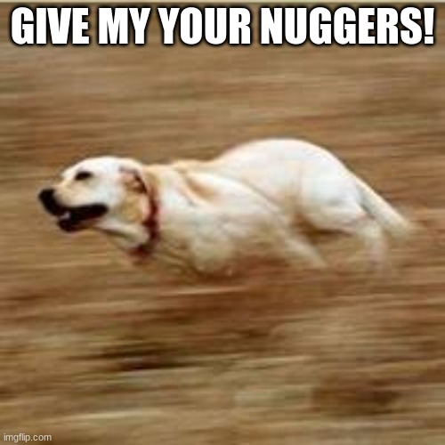 Speedy doggo | GIVE MY YOUR NUGGERS! | image tagged in speedy doggo | made w/ Imgflip meme maker