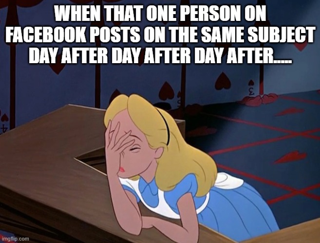 Alice in Wonderland Face Palm Facepalm | WHEN THAT ONE PERSON ON FACEBOOK POSTS ON THE SAME SUBJECT DAY AFTER DAY AFTER DAY AFTER..... | image tagged in alice in wonderland face palm facepalm | made w/ Imgflip meme maker