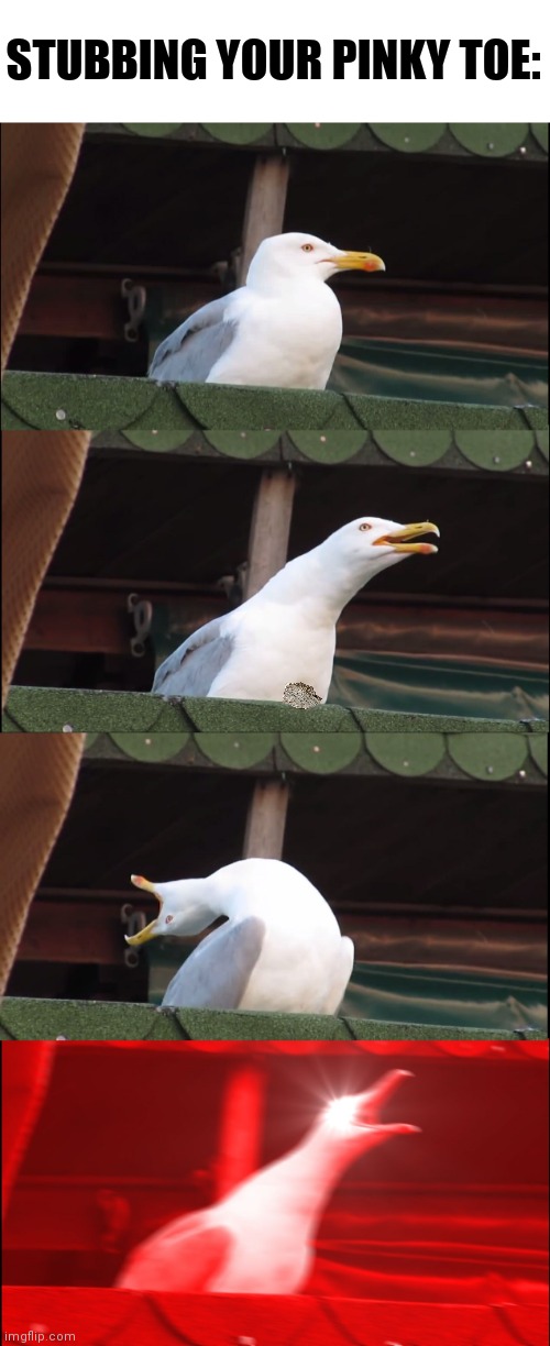 Inhaling Seagull | STUBBING YOUR PINKY TOE: | image tagged in memes,inhaling seagull | made w/ Imgflip meme maker