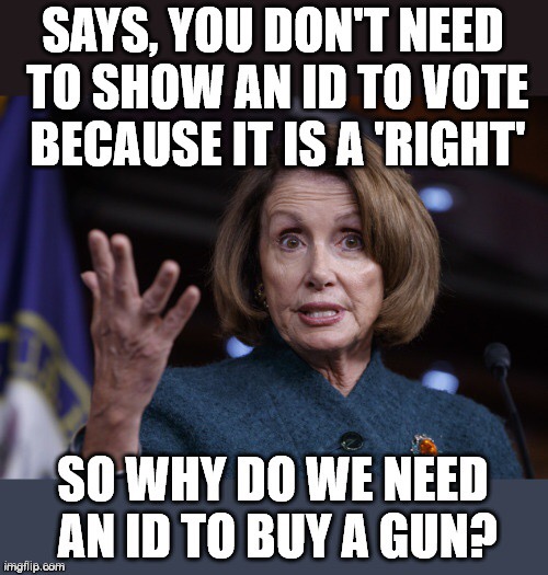 Democrat logic | image tagged in nancy pelosi,joe biden,liberal logic,democrats,voting,gun control | made w/ Imgflip meme maker