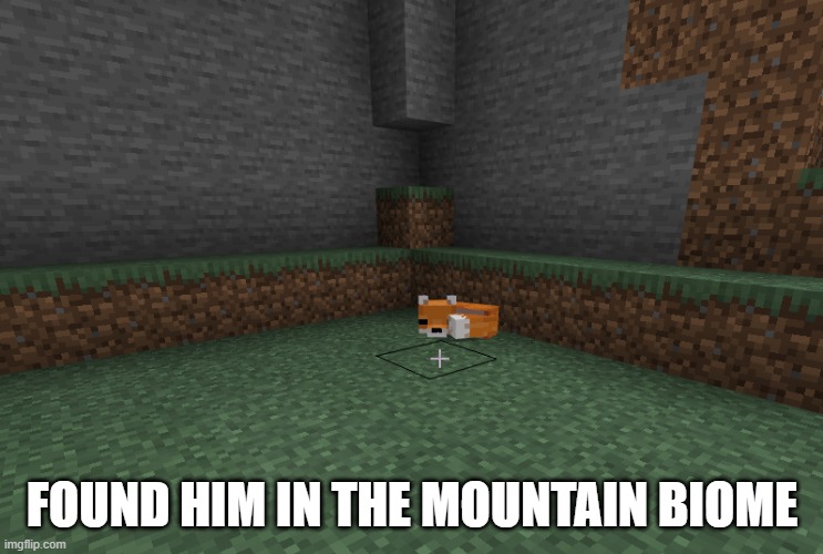 Fox in a mountain biome, wait what- | FOUND HIM IN THE MOUNTAIN BIOME | image tagged in minecraft,fox,wrong,logic has no place here,hold up,wait what | made w/ Imgflip meme maker