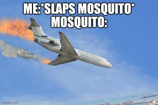 When you want to spare his life | ME:*SLAPS MOSQUITO*
MOSQUITO: | image tagged in crashing plane | made w/ Imgflip meme maker