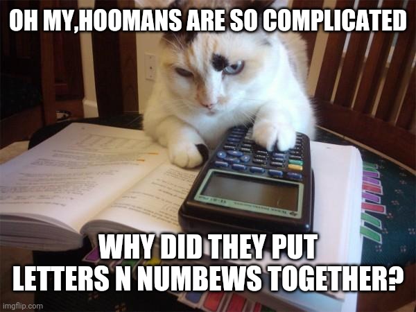 Math cat |  OH MY,HOOMANS ARE SO COMPLICATED; WHY DID THEY PUT LETTERS N NUMBEWS TOGETHER? | image tagged in math cat | made w/ Imgflip meme maker