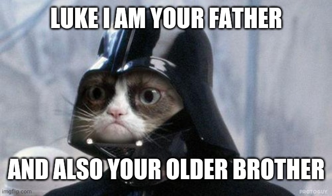 Grumpy Cat Star Wars | LUKE I AM YOUR FATHER; AND ALSO YOUR OLDER BROTHER | image tagged in memes,grumpy cat star wars,grumpy cat | made w/ Imgflip meme maker