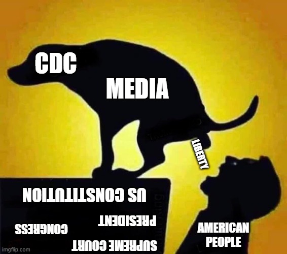 The CDC and media do not determine our freedoms | CDC; MEDIA; LIBERTY; US CONSTITUTION; PRESIDENT; CONGRESS; AMERICAN PEOPLE; SUPREME COURT | image tagged in dog pooping in mouth,cdc,media,constitution,domestic tranquility,liberty | made w/ Imgflip meme maker