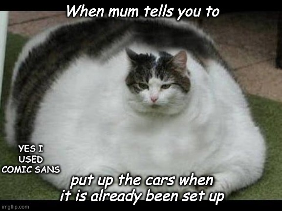 Fat dang cat | When mum tells you to; YES I USED COMIC SANS; put up the cars when it is already been set up | image tagged in fat dang cat | made w/ Imgflip meme maker