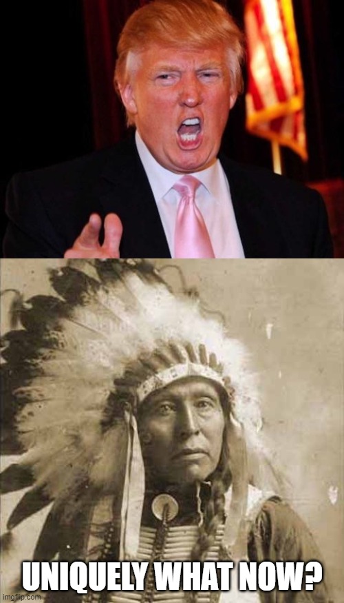 Donald Trump and Native American | UNIQUELY WHAT NOW? | image tagged in donald trump and native american | made w/ Imgflip meme maker