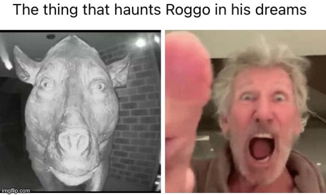 Pig meet Stone | image tagged in pink floyd,pig,shitpost,memes,classic rock,stone | made w/ Imgflip meme maker