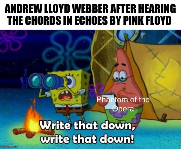 Write That Down Echoes | image tagged in pink floyd,write that down,spongebob,classic rock,hey can i copy your homework,shitpost | made w/ Imgflip meme maker