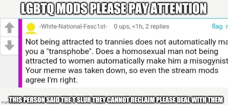 SERIOUS POST MODS LISTEN | LGBTQ MODS PLEASE PAY ATTENTION; THIS PERSON SAID THE T SLUR THEY CANNOT RECLAIM PLEASE DEAL WITH THEM | image tagged in lgbt,lgbtq,imgflip mods,help,transphobic | made w/ Imgflip meme maker