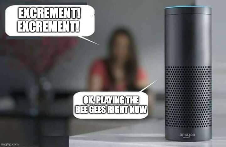 NO GOD PLEASE NO! | EXCREMENT! EXCREMENT! OK, PLAYING THE BEE GEES RIGHT NOW | image tagged in alexa do x,bad music,music meme | made w/ Imgflip meme maker