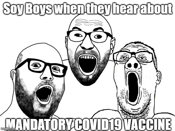 Soy Boys Mandatory COVID19 Vaccine | Soy Boys when they hear about; MANDATORY COVID19 VACCINE | image tagged in soy boys thrilled,soy boys when they hear about | made w/ Imgflip meme maker