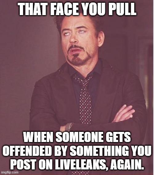 Offended on Liveleaks. | THAT FACE YOU PULL; WHEN SOMEONE GETS OFFENDED BY SOMETHING YOU POST ON LIVELEAKS, AGAIN. | image tagged in memes,face you make robert downey jr | made w/ Imgflip meme maker