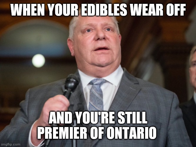 Doug Ford's high wears off | WHEN YOUR EDIBLES WEAR OFF; AND YOU'RE STILL PREMIER OF ONTARIO | image tagged in doug ford | made w/ Imgflip meme maker