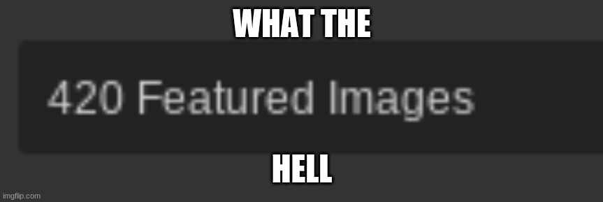¯\_(ツ)_/¯ | WHAT THE; HELL | made w/ Imgflip meme maker