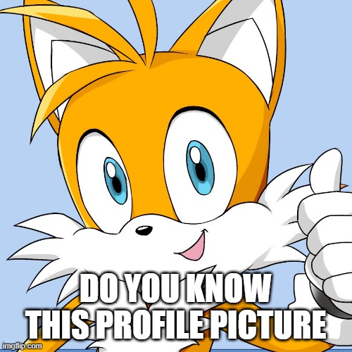 do you know this profile picture | DO YOU KNOW THIS PROFILE PICTURE | image tagged in tails | made w/ Imgflip meme maker