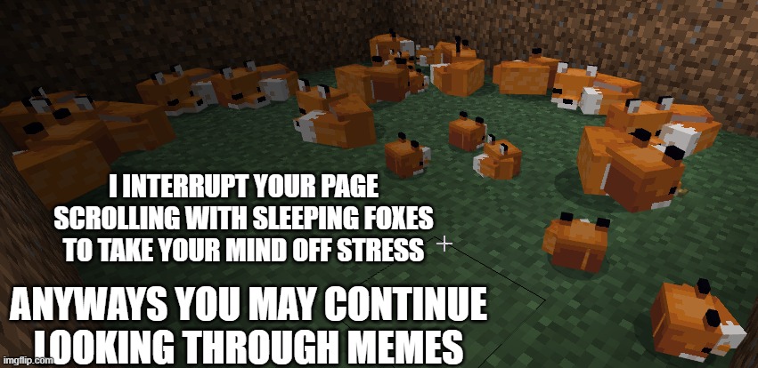 I hope you have a great day everyone :) | I INTERRUPT YOUR PAGE SCROLLING WITH SLEEPING FOXES TO TAKE YOUR MIND OFF STRESS; ANYWAYS YOU MAY CONTINUE LOOKING THROUGH MEMES | image tagged in sleeping,minecraft,foxes,have a nice day,everyone | made w/ Imgflip meme maker