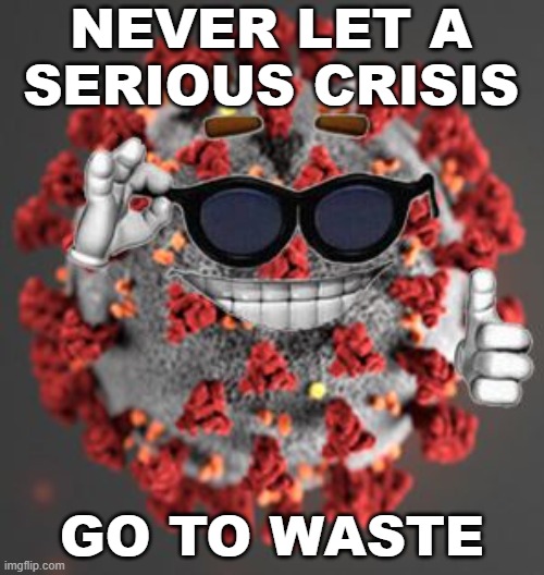 Never Let a Serious Crisis Go to Waste | NEVER LET A SERIOUS CRISIS; GO TO WASTE | image tagged in coronavirus | made w/ Imgflip meme maker