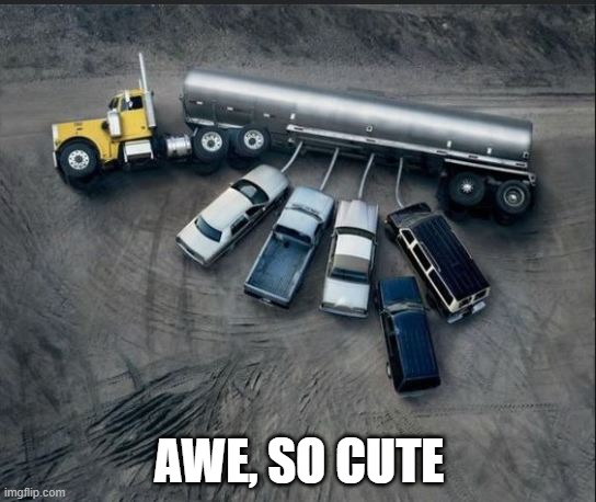 Mommy truck and babies | AWE, SO CUTE | image tagged in puppy,trucks | made w/ Imgflip meme maker