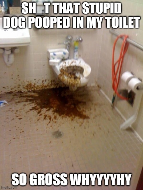 Girls poop too | SH_T THAT STUPID DOG POOPED IN MY TOILET; SO GROSS WHYYYYHY | image tagged in girls poop too | made w/ Imgflip meme maker