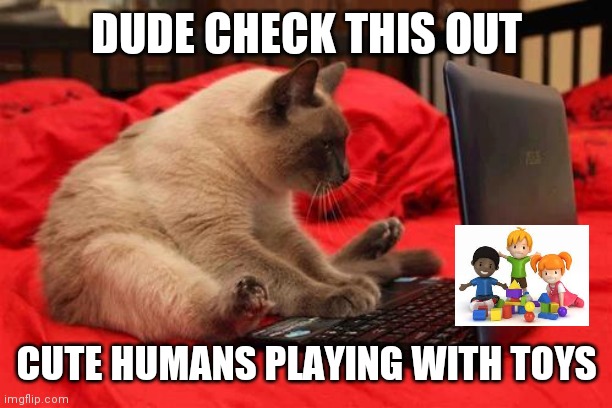 quit looking at cats online | DUDE CHECK THIS OUT; CUTE HUMANS PLAYING WITH TOYS | image tagged in quit looking at cats online,cata,switch,lol | made w/ Imgflip meme maker