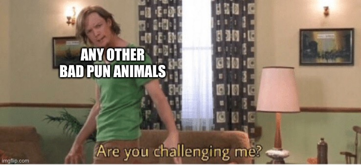 are you challenging me | ANY OTHER BAD PUN ANIMALS | image tagged in are you challenging me | made w/ Imgflip meme maker