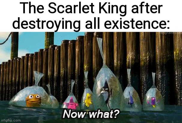 Now what | The Scarlet King after destroying all existence: | image tagged in now what | made w/ Imgflip meme maker