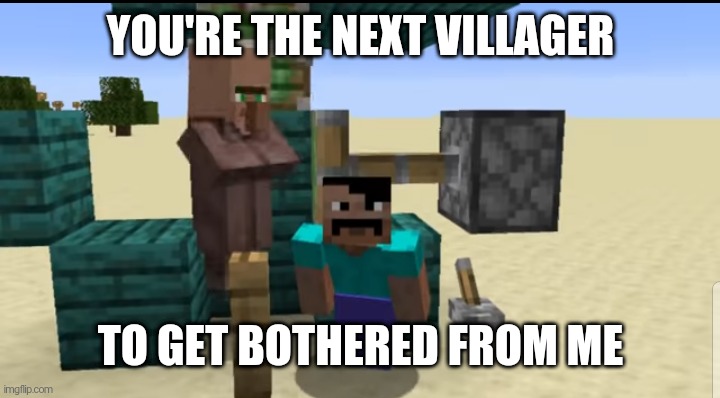 Villager. | YOU'RE THE NEXT VILLAGER; TO GET BOTHERED FROM ME | image tagged in steve bothering the villager | made w/ Imgflip meme maker