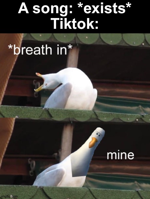 Mine | A song: *exists*
Tiktok: | image tagged in mine,memes,funny,cats,dogs,pie charts | made w/ Imgflip meme maker