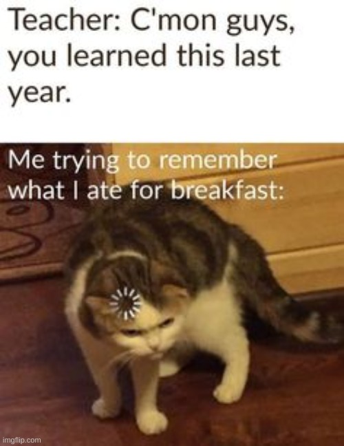 So true | image tagged in memes | made w/ Imgflip meme maker