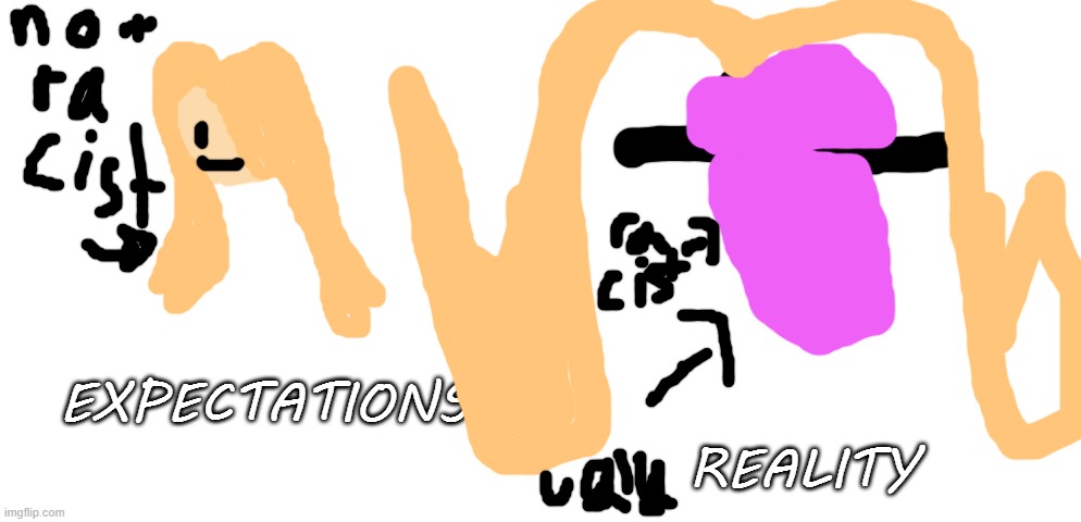 REALITY; EXPECTATIONS | image tagged in draw your own face,racist,memes,ugly racist person,ugly | made w/ Imgflip meme maker