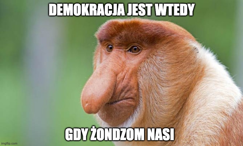 Janusz Nosacz | DEMOKRACJA JEST WTEDY; GDY ŻONDZOM NASI | image tagged in janusz nosacz | made w/ Imgflip meme maker