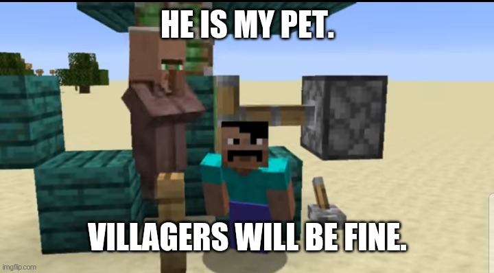 Villager is my pet | HE IS MY PET. VILLAGERS WILL BE FINE. | image tagged in steve bothering the villager | made w/ Imgflip meme maker