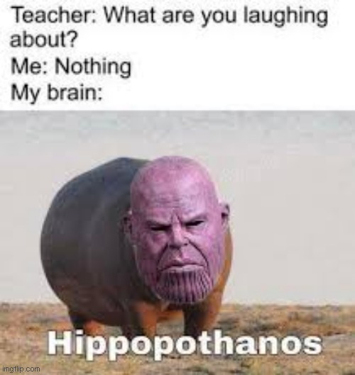 hippopothanos | image tagged in teacher what are you laughing at | made w/ Imgflip meme maker