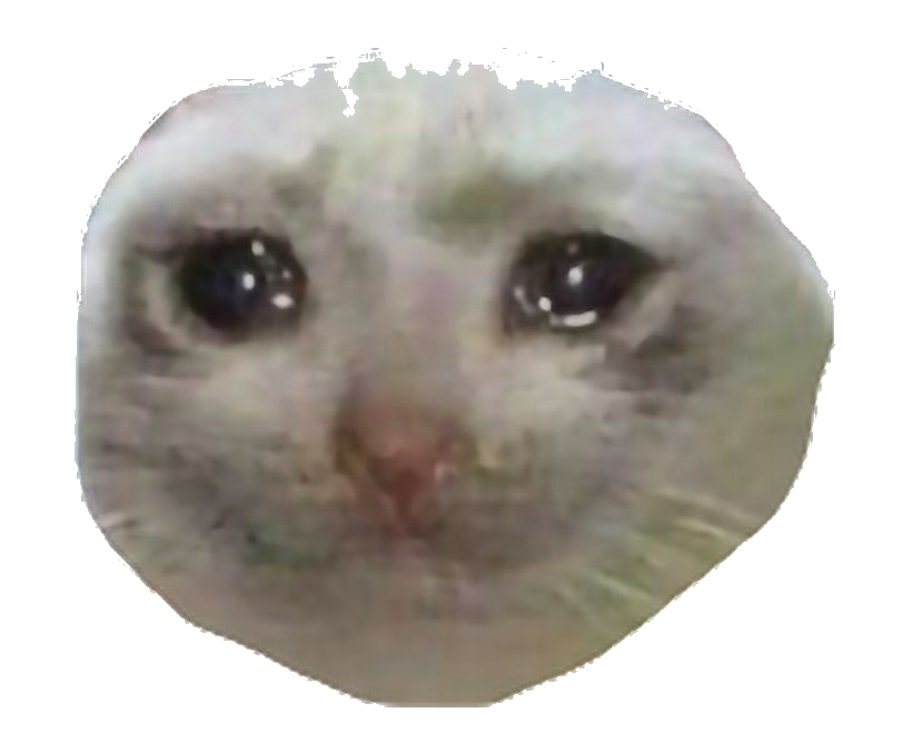 High Quality sad kitty face transparent Blank Meme Template