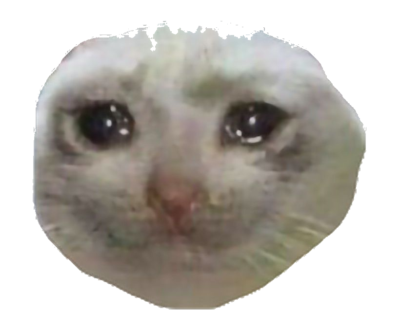 sad-cat-thumbs-up-meme-png-andrewstevenwatson