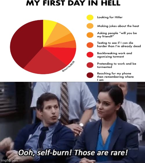 Ooh, self-burn! Those are rare! | image tagged in ooh self-burn those are rare,charts,pie charts,memes,funny,adolf hitler | made w/ Imgflip meme maker