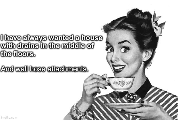 1950s Housewife | I have always wanted a house 
with drains in the middle of 
the floors. And wall hose attachments. | image tagged in 1950s housewife | made w/ Imgflip meme maker