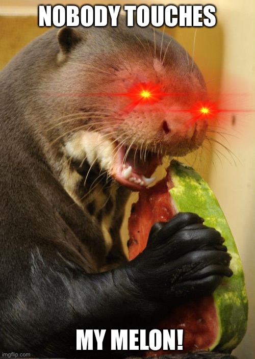No touch |  NOBODY TOUCHES; MY MELON! | image tagged in memes,self loathing otter | made w/ Imgflip meme maker