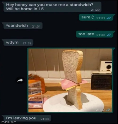 Standwich | image tagged in make me a sandwich,funny,memes | made w/ Imgflip meme maker