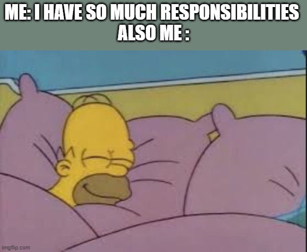how i sleep homer simpson |  ME: I HAVE SO MUCH RESPONSIBILITIES 
ALSO ME : | image tagged in how i sleep homer simpson | made w/ Imgflip meme maker