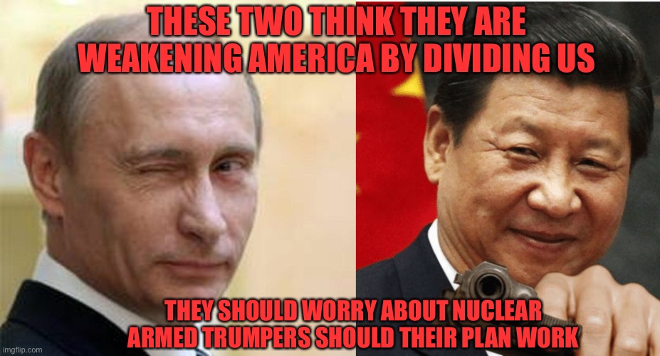 Magats are dumb enough to use them | THESE TWO THINK THEY ARE WEAKENING AMERICA BY DIVIDING US; THEY SHOULD WORRY ABOUT NUCLEAR ARMED TRUMPERS SHOULD THEIR PLAN WORK | image tagged in putin winking,xi jinping | made w/ Imgflip meme maker