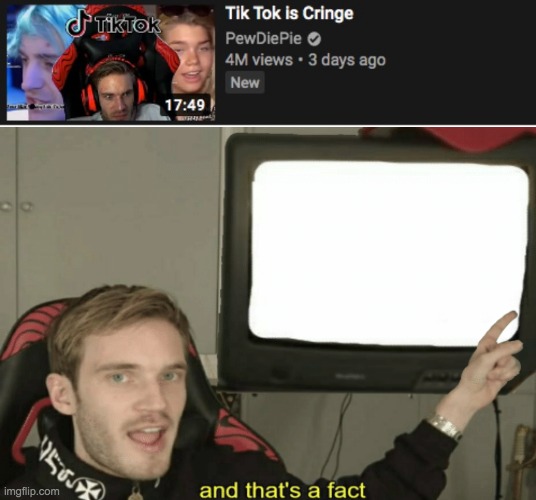 YES YES YES YES YES YES | image tagged in memes,pewdiepie,tiktok sucks,lol,and thats a fact,cringe | made w/ Imgflip meme maker