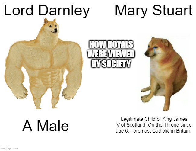 Buff Doge vs. Cheems Meme | Lord Darnley; Mary Stuart; HOW ROYALS WERE VIEWED BY SOCIETY; A Male; Legitimate Child of King James V of Scotland, On the Throne since age 6, Foremost Catholic in Britain | image tagged in memes,buff doge vs cheems | made w/ Imgflip meme maker